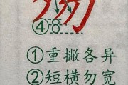 貌的笔顺-貌字的笔顺是什么？