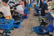 进鞋厂做什么的-鞋厂里的车工是什么活啊，女人没干过，能做吗？