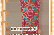 鞋垫老是从后面出来怎么办-我鞋子里的鞋垫老是往后面滑出来，怎么破？