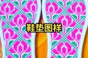鞋垫 推荐-想买鞋垫有什么比较专业的牌子介绍吗？