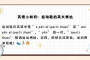 鞋复数的英文怎么写-一双鞋子后面是单数还是少数？