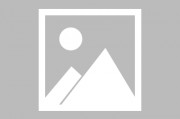 t恤品牌logo-衣服上z的标志是什么牌子？