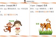 帽子拼音怎么写的拼-杯子和帽子的英文读音相同吗？
