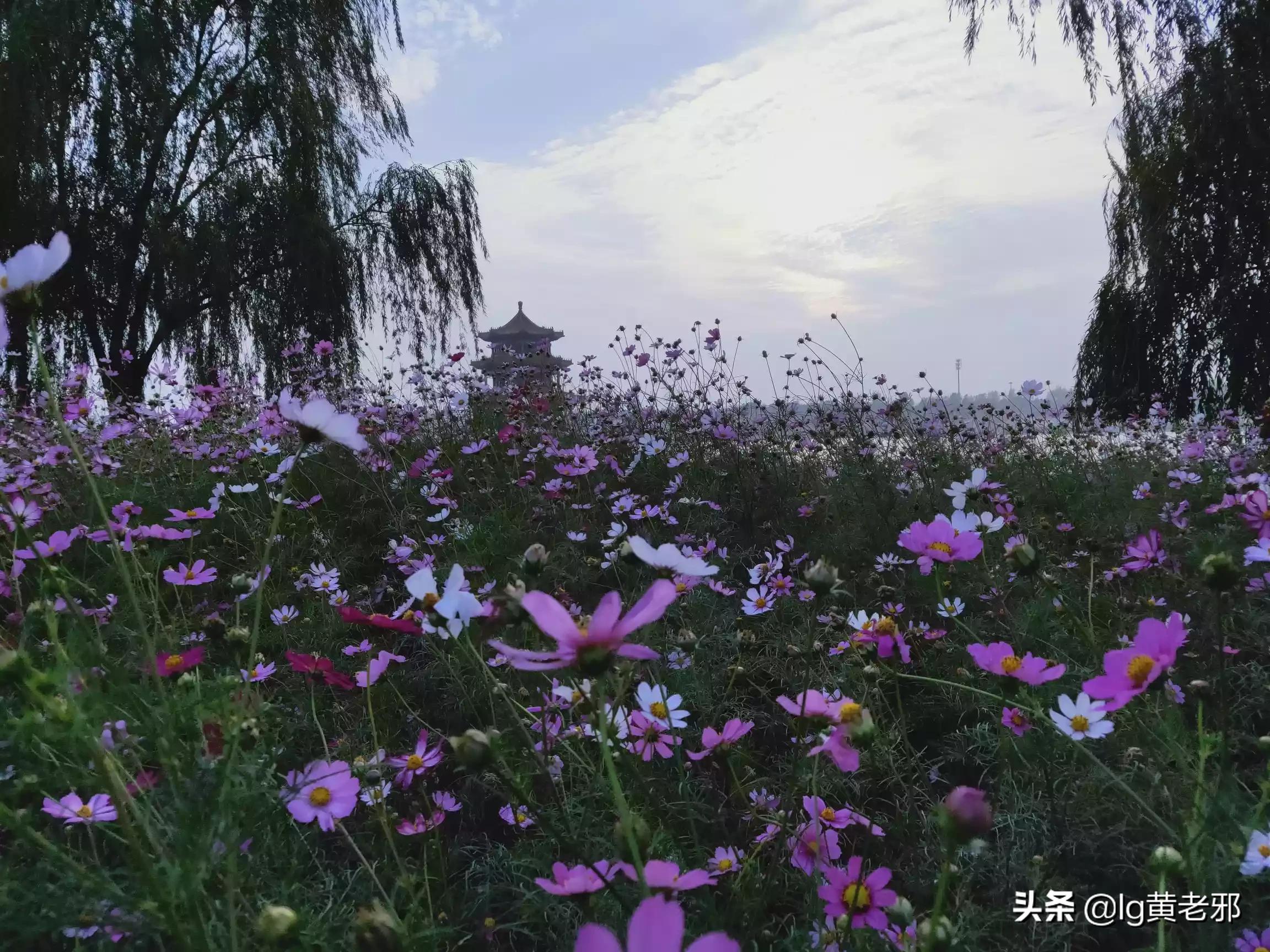 鞋套是医疗垃圾还是生活垃圾-现在若收到快递，疫情还很严重，会有传染风险吗？