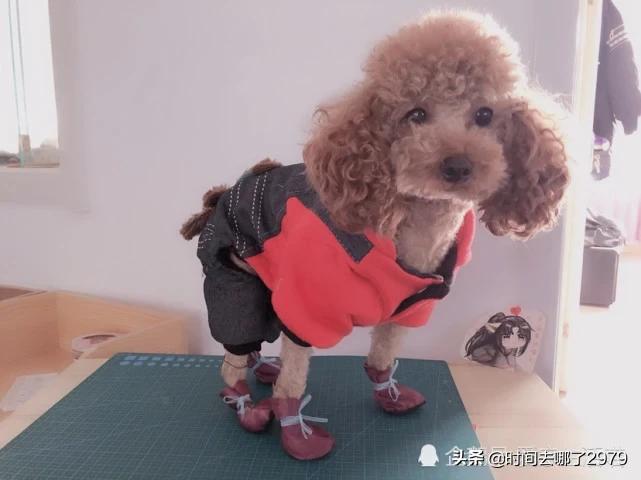 自己制作鞋套-如何制作鞋套？