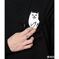t恤衫品牌大全图片-有什么值得推荐的男士t恤品牌？