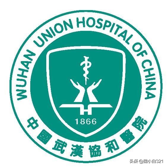 商标logo图案大全图片及名称介绍-很多帽子上的图案yn是什么商标？