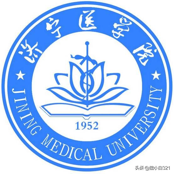 商标logo图案大全图片及名称介绍-很多帽子上的图案yn是什么商标？