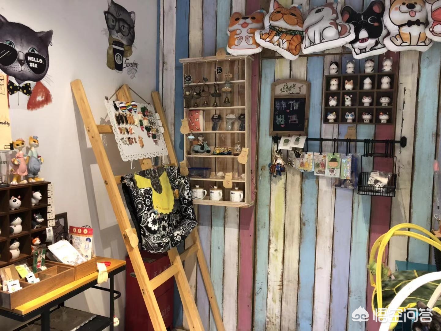 鞋套一般什么店有卖的-北京有哪些值得一去的猫咖？