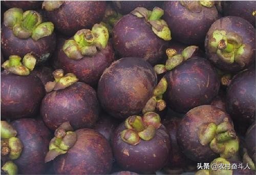 鞋厂刷胶刷子敲开教程视频-吴桂春求学的故事？