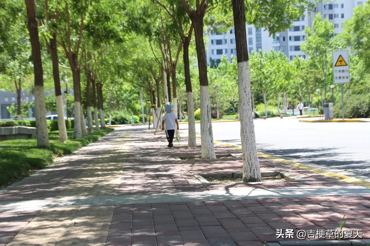 一家人穿亲子装的说说-幼儿园亲子稻田抓鱼活动结束说说？